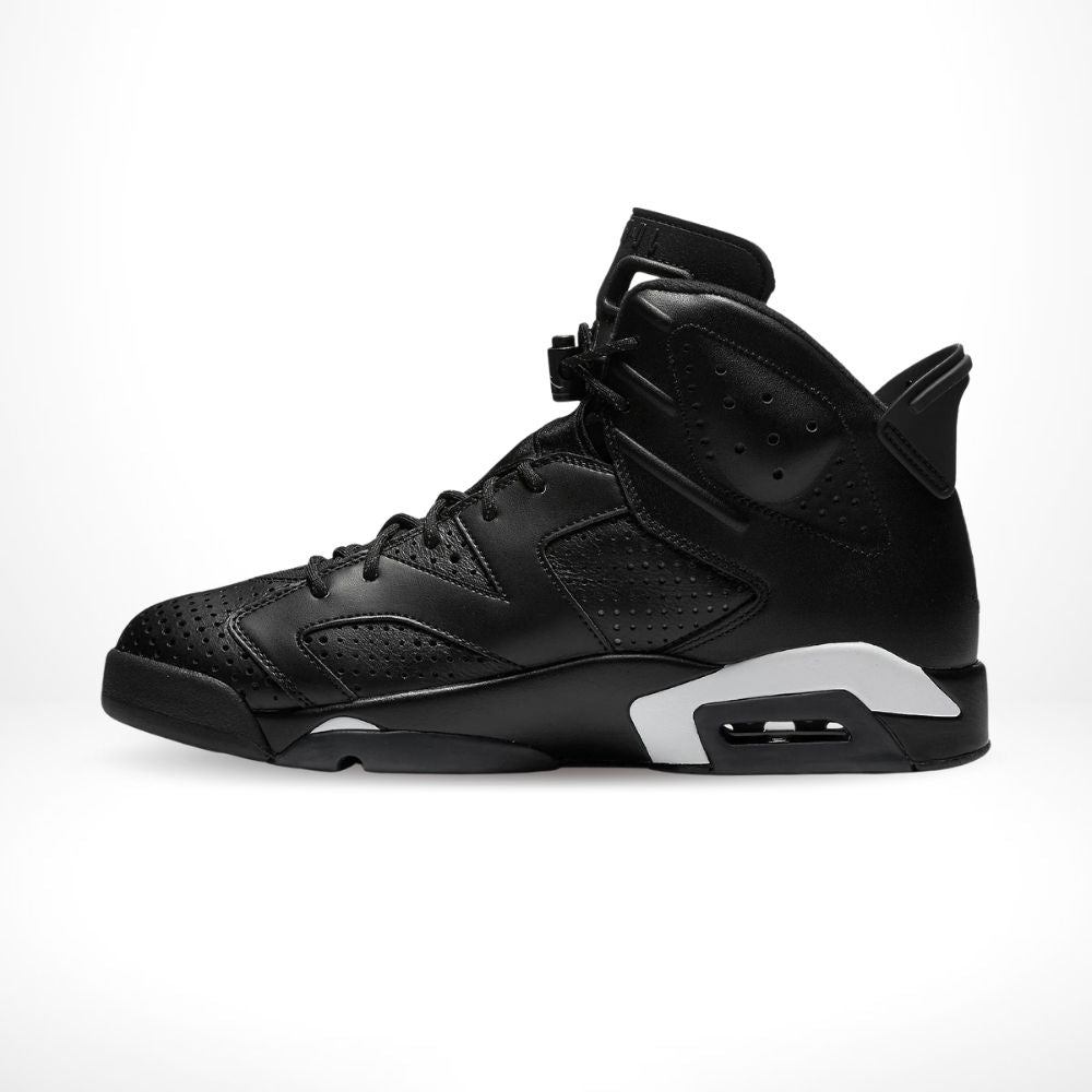 Air Jordan 6 Retro Black Cat